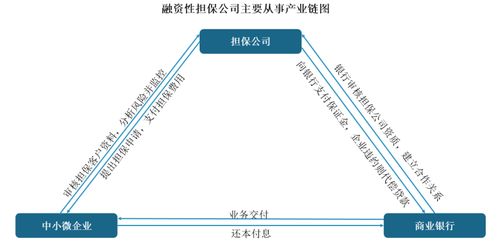 中國(guó)融資性擔(dān)保行業(yè)發(fā)展趨勢(shì)分析與投資前景預(yù)測(cè)報(bào)告 2022 2029年